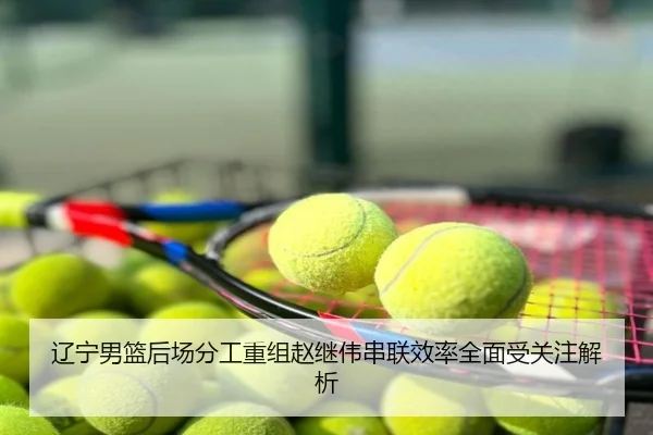 辽宁男篮后场分工重组赵继伟串联效率全面受关注解析