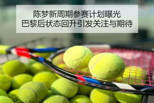 陈梦新周期参赛计划曝光 巴黎后状态回升引发关注与期待