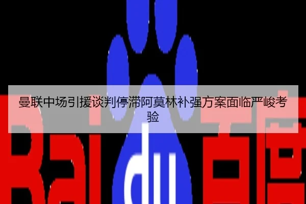 曼联中场引援谈判停滞阿莫林补强方案面临严峻考验