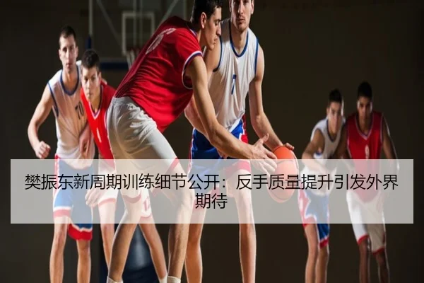 樊振东新周期训练细节公开：反手质量提升引发外界期待