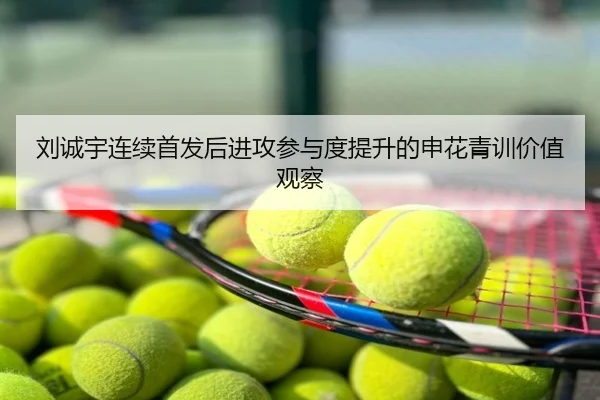 刘诚宇连续首发后进攻参与度提升的申花青训价值观察